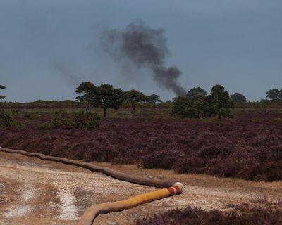 ‘Real struggle’ to tame New Forest blaze as UK set for hottest summer on record