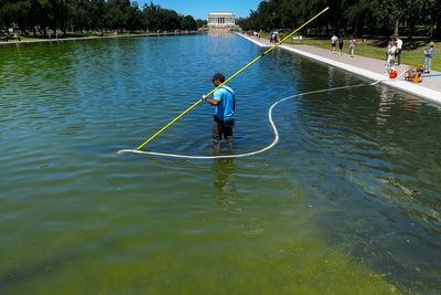 Trump picks Project 2025 author to oversee investigation into what went wrong with the Reflecting Pool