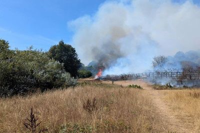 Large fire breaks out in Exeter park sending smoke across city