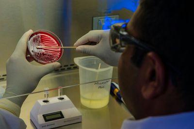 A Bipartisan Senate Bill Targets the Slowest Step in Making New Antibiotics