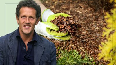 Monty Don urges gardeners to do this one job now to help protect plants ahead of the next heatwave