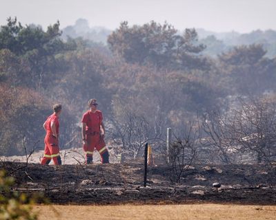 The Guardian view on wildfires: firefighters can’t handle this crisis alone