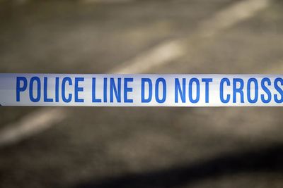 Witness appeal after attempted sexual assault on south London train