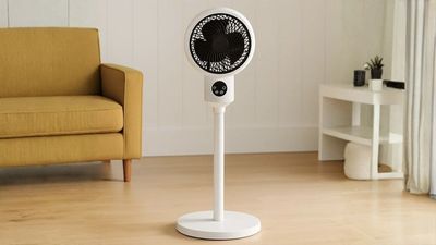 There's still time to get this best-selling fan before temperatures hit 35°C tomorrow
