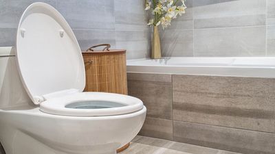 Cleaning pros share how often you should clean your toilet — and you'll be surprised