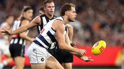 Cats coach refuses to speculate on defender's future