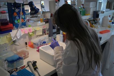 NIH Plans to Bar Scientists on Visas from the Award That Launches Independent Labs