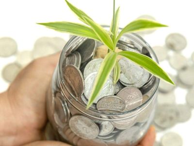 Best flexi cap mutual funds to invest in August 2026