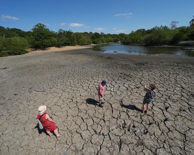 UK heatwave live: Burnham considers ban on disposable barbecues to prevent wildfires