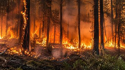 In 1871, Wisconsin’s Peshtigo Fire killed more than 1,200 people as Chicago burned, becoming the deadliest wildfire in US history