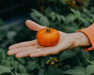 I was enjoying growing vegetables. Then the climate crisis raised its ugly head