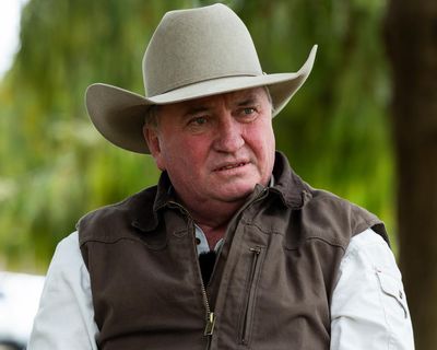 Barnaby Joyce claims One Nation ‘one of the gayest parties in Australia’ as former candidate’s comments surface