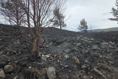 Public told to use ‘extreme caution’ as wildfire warning issued for Scotland