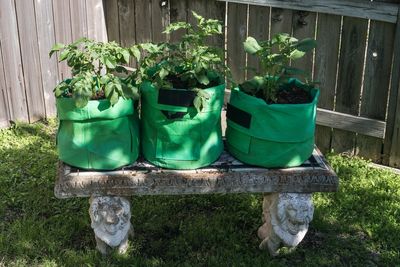 What Can You Do With Empty Grow Bags After Summer Crops Finish?