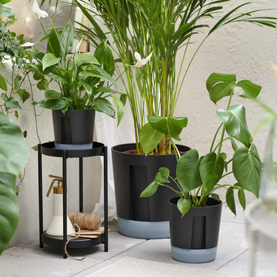This £2 IKEA plant pot will keep your plants hydrated during the August heatwave – it’s how I'm watering my plants when I go on holiday this summer