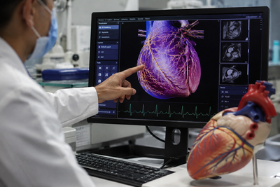 The Heart Has Two Types of Nerve Cells, and Removing Either One Stopped Mouse Hearts