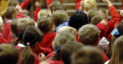Scottish Tories accused of 'scapegoating' bilingual children in 'pathetic' attack