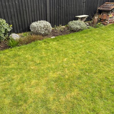 Is your grass dead? Here’s how to tell if your lawn is rescuable – and the experts' tips for reviving it this August