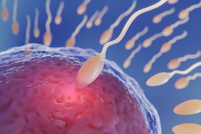 Sperm DNA Damage, Not Just Female Health, May Explain Repeated Miscarriages, Fertility Experts Say