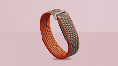 Fitbit Air's major Google upgrade adds blood oxygen reports from next month