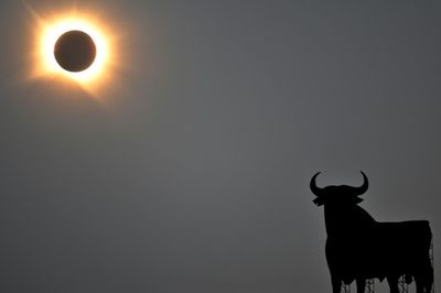 As millions gazed in awe, a swathe of Spain plunged into darkness