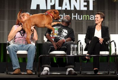 Dogs' Brains Tell Fear from Sadness on a Human Face, and a Smile Reaches the Reward Circuit