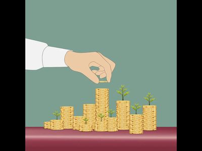 Best focused mutual funds to invest in August 2026