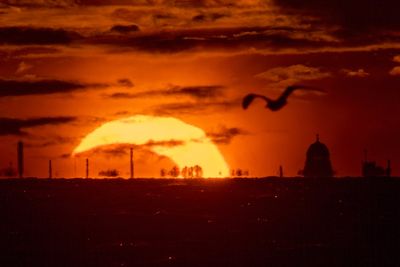 The best pictures as stargazers treated to astral delight with eclipse and meteor shower on same evening