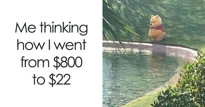 77 Hilarious Memes That Might Be The Reason Why You Go To Bed In A Good Mood Tonight