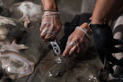 California’s beaches are becoming carpeted with thousands of barbed fish