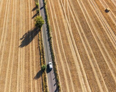 Britain’s scorched fields mean a food crisis – and the government is ignoring the one measure that would help
