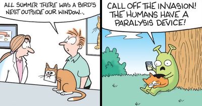 What Life With Cats Really Looks Like, Shown In Comics By This Artist (36 New Pics)