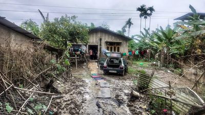 The crisis after the flood in Assam villages: Lost livestock, missed crop, and wait for aid