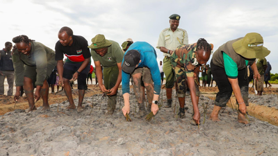 4,124 Scouts plant mangrove trees at the same time in Kenya to save coastal ecosystems and set a new world record