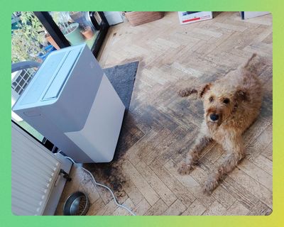 Do I really need air conditioning in the UK? The best portable aircon tested – plus the pros, cons and alternatives