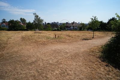 UK has hottest day of year so far as temperatures hit 38.1C