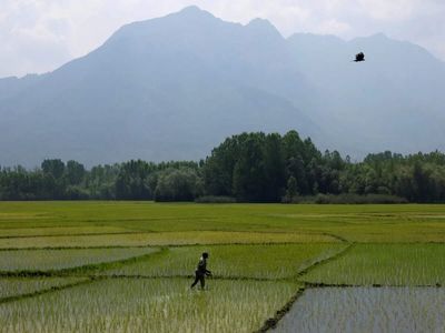 India urea import offers decline 12% as war supply squeeze eases