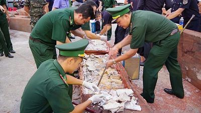Vietnam discovers more than a tonne of concealed ivory illegally shipped from Africa