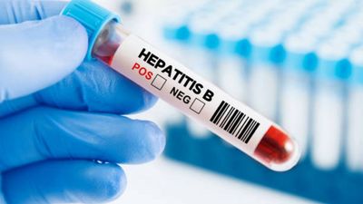 A Liver Infection with No Approved Oral Treatment in the U.S. Now Has a Drug Under FDA Review