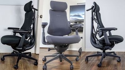 I’ve spent a year testing LiberNovo’s viral Omni office chairs — here’s my final recommendation