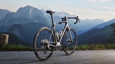 IsoSpeed decoupled: Trek bins off comfort-enhancing tech with all-new Domane