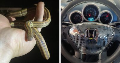 55 Clueless People That Could Be Nominated For Darwin Awards (New Pics)