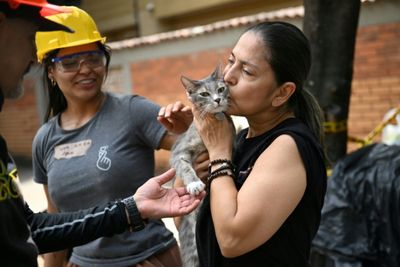 'Dream come true': Owners reunite with pets in quake-hit Colombia
