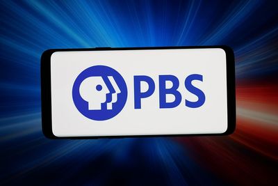 PBS broadcaster loses access to 50TB of data comprising 70 years of TV history after contracted cloud storage vendor goes defunct — public TV channel sues Iron Mountain data center, which hosts archival materials, to ensure preservation