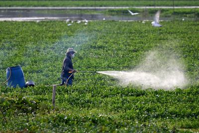 California Begins Phasing Out Paraquat After Every Manufacturer Pulls the Weedkiller Rather Than Submit Health Data