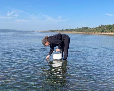 Country diary: It’s not easy, finding grass seeds in the sea – but this search matters