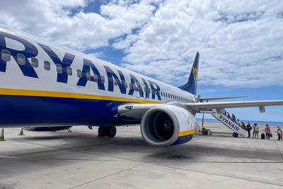 Ryanair Engine Logged Four Suspected Bird Strikes Before Passenger Was Partly Sucked Out