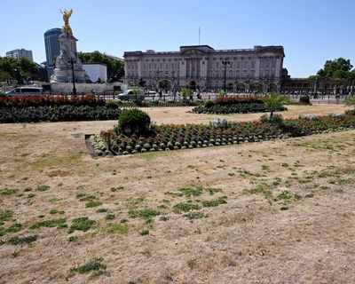 Little rain on the horizon as England and Wales experience driest July on record