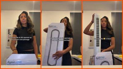 ‘I can’t sleep’: Woman’s Dyson package is delayed at a DHL depot. Then she opens the resealed box and gets suspicious