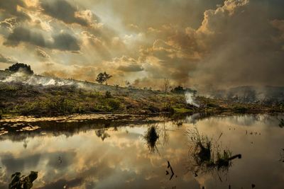 El Niño may peak at the worst time for the Amazon – and it should worry us all